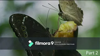 amazing amazon forest episode 2