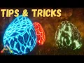 The BEST Way to Get Wyvern Eggs on Ark Ragnarok