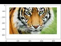Starting With Images in Numpy-Python