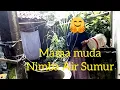 Download Lagu CARA MAMAH MUDA NIMBA AIR SUMUR