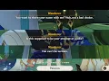 What Happen if you name Wanderer Ei Dottore Your IGN and many more