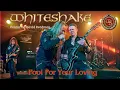 Download Lagu WHITESHAKE - FOOL FOR YOUR LOVING / Whitesnake Tributeband feat David Readman / Ahlen (GER) Jan 2025