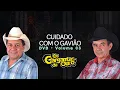 Download Lagu Os Gargantas de Ouro - CUIDADO COM O GAVIÃO [DVD VOLUME 03]
