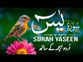 Download Lagu Surah Yaseen With Urdu Translation | Episode 199 | Surah Yaseen Urdu Tarjuma ke