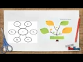 Graphic Organizers