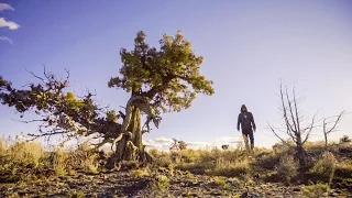 Camping in the Lava Fields – Pushing North 46