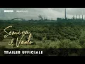Video di Semina il vento | Trailer italiano ufficiale HD