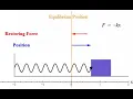 Simple Harmonic motion simulation in Manim Python with Code