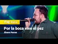 Download Lagu Álvaro Parras – “Por la boca vive el pez” (Fito \u0026 Fitipaldis) | Cover Night