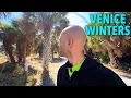 The TRUTH About Winters In Venice Florida