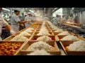 How Millions of Ready Meals Are Mass-Produced in Factories Modern Food Processing Insights