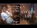 Download Lagu Sladja Allegro - Cvetaju lipe - (Official Live Video 2017)