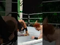 Download Lagu Sheamus must’ve spun him a little TOO hard 😂