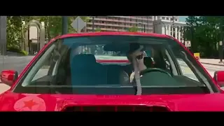 أغاني ديدين كلاش مع اجمل سائق سيارات جميلة     دندنها