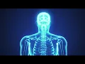 Every Move - WakeMed Brain Spine Health
