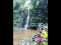 Electro Chill Music - Bali Waterfalls