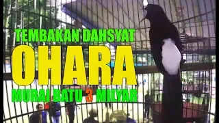 Download DAHSYAT!!!TEMBAKAN OHARA MURAI BATU 3 MILYAR MP3