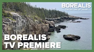 Borealis Television Promo