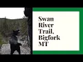Exploring BIGFORK Montana