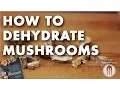 How to Dehydrate Mushrooms Technique