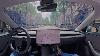 Good morning to all the Tesla Self-Driving users around the world