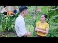 Download Lagu KHANH wants HOANG to stop investigating NHUONG about catching chickens