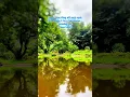 Download Lagu Daily Inspiration - Baan Krating Pai Resort in Pai Thailand