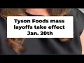 Tyson mass layoffs take effect Jan 20