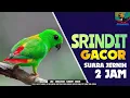 Download Lagu MEWAH..!!!!   SRINDIT GACOR Suara Jernih