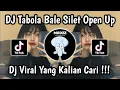 Download Lagu DJ TABOLA BALE SILET OPEN UP REMIX MENGKANE VIRAL TIKTOK TERBARU 2025