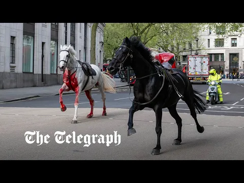 Download MP3 Blood-covered Household Cavalry horses run loose through London