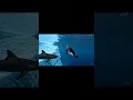 Download Lagu Penguin Vs Shark Ai fails! Still scary good!