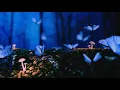 Flowers - in love with ghost ft. Nori (Lo-fi)