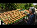 Download Lagu Grandma bakes 500 mooncakes to celebrate the traditional Chinese Mid-Autumn Festival