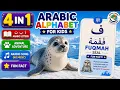 Arabic Alphabet for Kids Alif to Yaa Animal Adventure Song Fun Facts