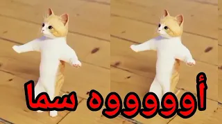 اغنية باسم سما الحلوة عيد ميلاد سما اول تعليق السعودية الكويت العراق الجزائر تركيا جده دبي الرياض 