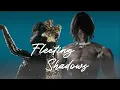 Lagu Fleeting Shadows - a NieR mashup/remix