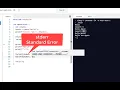 C Programming Skills Using Replit stdio h Output Functions
