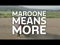 Mike Maroone Ford Longmont - MAROONE 250 AUG REV NEW BRONCO