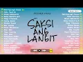 Download Lagu December Avenue Greatest Hits 2025: Saksi Ang Langit, Huling Sandali, Eroplanong Papel |OPM Trending