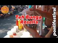 Download Lagu Teh Bunga Rosella
