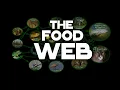 The Food Web