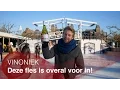 Download Lagu Deze Fles is overal voor in!
