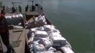 China 53 Feed Delivery China Style