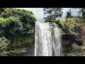 Did You Pray Today?  | Deep Reggae Gospel Prayer for Strength, Protection & Blessings 