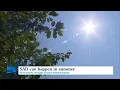 Download Lagu Summertime sadness: how seasonal depression affects people in hotter months
