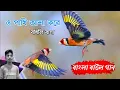 Download Lagu O PAKHI ASHA KORE BANDLI BASA (URE GELO BAISHAKETE AR TO FAGUN ELO NA)