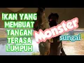 Download Lagu LAGI dan LAGI !!!!  MONSTER SUNGAI TAIWAN KENA PELURU KETAPEL BAKWAN KASINAN - KETAPEL IKAN