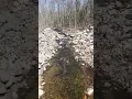 Maine Fly Fishing Mount Vernon