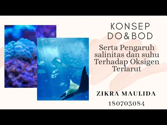 Konsep DO & BOD || Pengaruh Salinitas & Suhu Terhadap Oksigen Terlarut